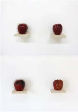 Figura 5. Elke Coelho, Proposta [situação outra]. Maçãs, alfinetes e esferas peroladas e madeira,  dimensões variadas