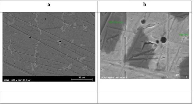 Figure  9  shows  a  few  SEM  micrographs  of  Remanium  2000+  (R)  and  Wiron ® 88  (W)  alloys  surfaces after 25  days of immersion in the artificial saliva solution, at 37 ºC, at short circuit.