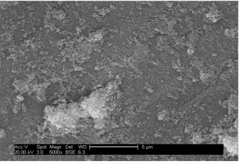 Figure 4.3 –Scanning electron microscopic image of PVDF f -TiO 2  prepared with a 1.5 g/L  TiO 2  solution at pH 3 (UV time = 2h, light distance= 100mm) (x5000) 