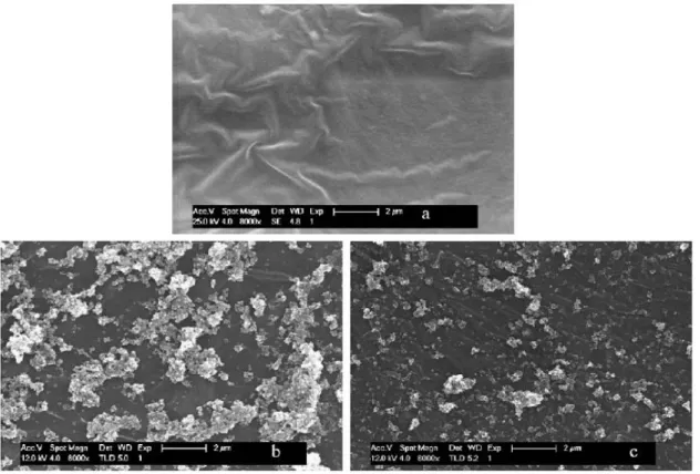 Figure 4.5 - Scanning electron microscopic images of a) PVF b) PVF f -TiO 2  prepared at pH  5 (external side) and c) PVF f -TiO 2  prepared at pH 5 (internal side) (Mazille et al., 2009, a) 