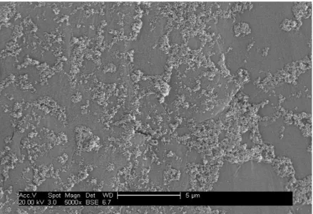 Figure 4.7- Scanning electron microscopic images of PVDF f -TiO 2  prepared with a 1.5 g/L  TiO 2  solution at pH 3 (UV time = 2h, light distance= 230 mm) (x5000) 