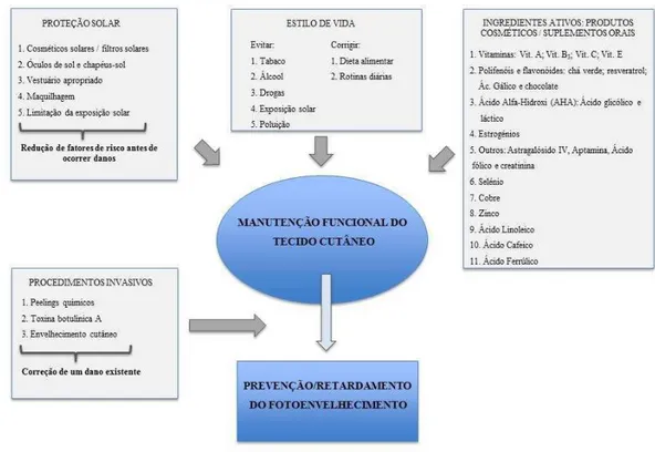 Figura 9: Estratégias para a Prevenção/Retardamento do Fotoenvelhecimento Cutâneo 