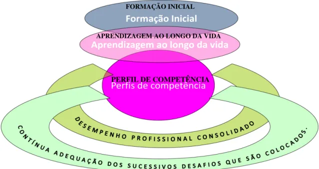 Figura 1- Perfil de Competências (autora, 2013) 