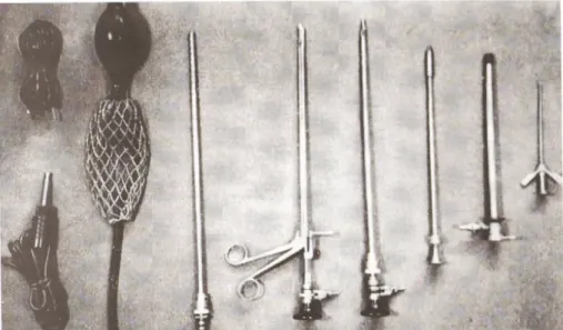 Figura 4 – Instrumentos Laparoscópicos de Ruddock.