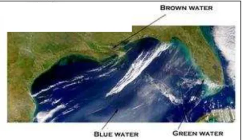 Figura 1 – Visualização do conceito “Blue”, “Green” e “Brown” Water   (Fonte: Adaptado pelo Autor)