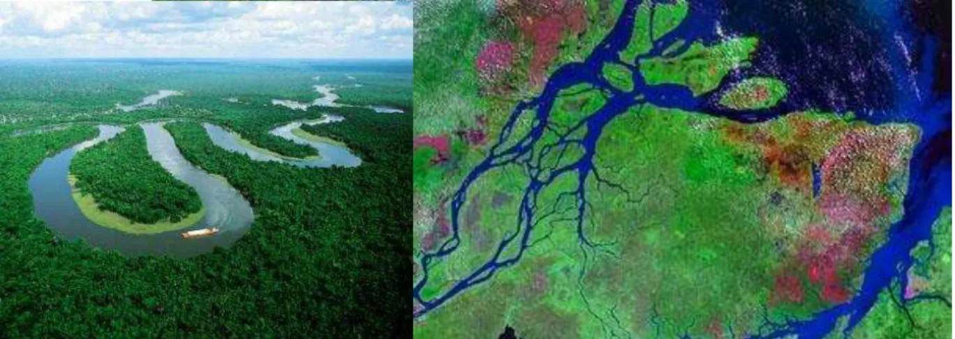 Figura 4 – Vista aérea e de satélite do Rio Amazonas  (Fonte: New 7 Wonders of Nature, 2012)