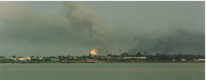 Figura 6  –  Vista ao longe de Bissau, em chamas (tirada a partir do NRP Vasco da Gama, junho 1998)