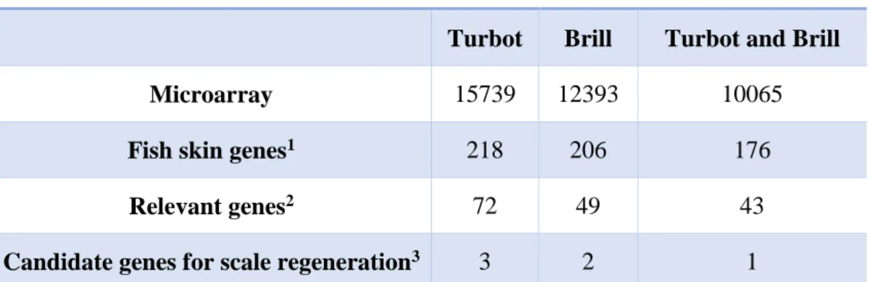 Table 4.1. Expressed genes with consistent fluorescent signal (&gt;200 fluorescent units) in the 4X44k turbot oligo- oligo-microarray