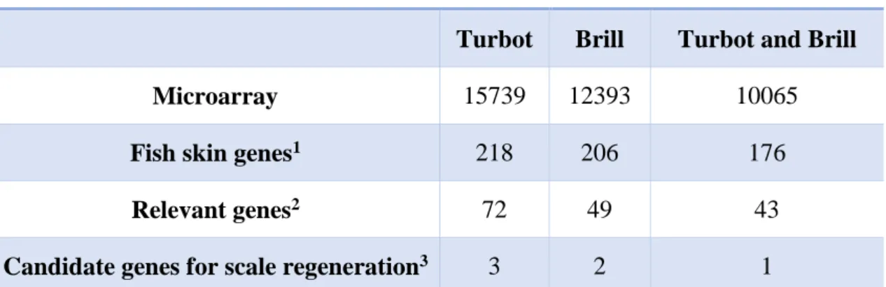 Table 4.1. Expressed genes with consistent fluorescent signal (>200 fluorescent units) in the 4X44k turbot oligo- oligo-microarray