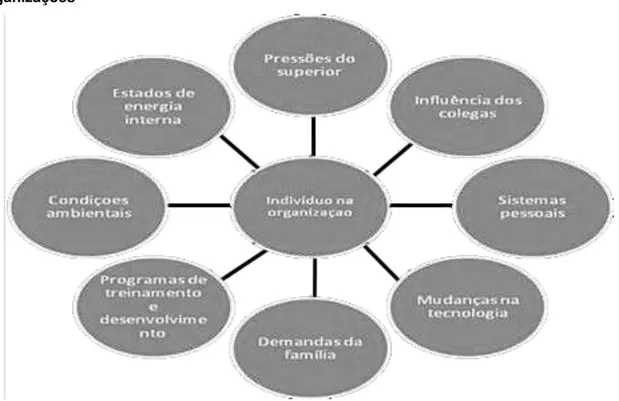 Figura  5  -  Fatores  externos  que  influenciam  o  comportamento  das  pessoas  nas  organizações 