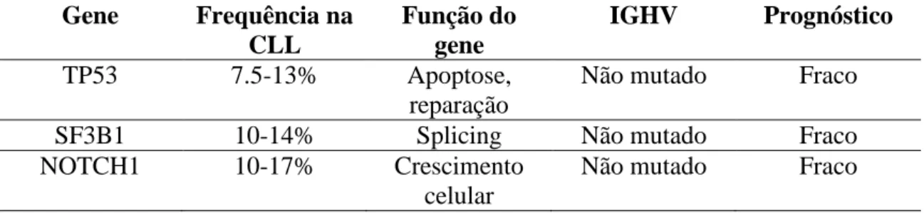 Tabela 4 - Alguns dos principais genes na CLL (adaptado de Landau e Wu, 2013). 