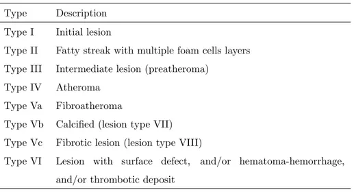 Table 1: AHA Lesion Type Classification (Herbert et al., 1995).