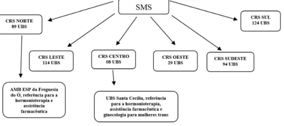 Figura 1 – Organograma da cobertura municipal – Referência: setembro de 2018 