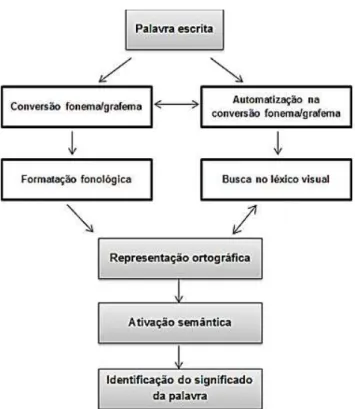 Figura 1: Vias de acesso ao reconhecimento de palavras escritas (Sim-Sim, 2009, p.14) Se, por um lado, já conhece a palavra, por já a ter lido noutros contextos, o leitor  não  necessita  de  a  descodificar,  convertendo  cada  grafema  no  fonema  corres