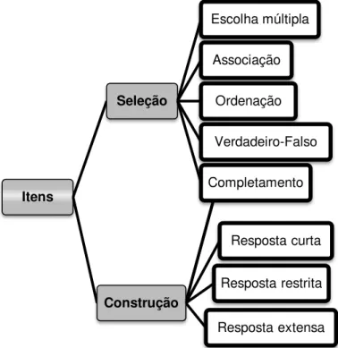 Figura 7 - Tipologia de itens (IAVE, 2004, p.2)