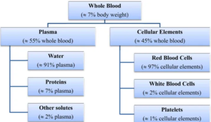 Fig. 2. (Color online) Schematic representation of a healthy red blood cell at rest and its typical dimensions.
