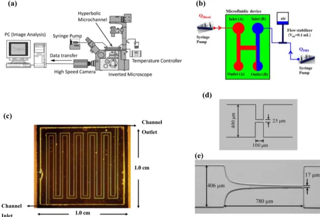 Fig. 5. (Color online) Microfluidic devices employed in blood rheological measurements