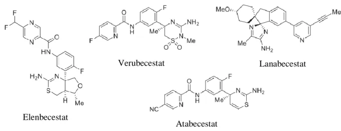 Figura 6.1.: Estruturas moleculares de vários inibidores da BACE-1 alvo de ensaios clínicos