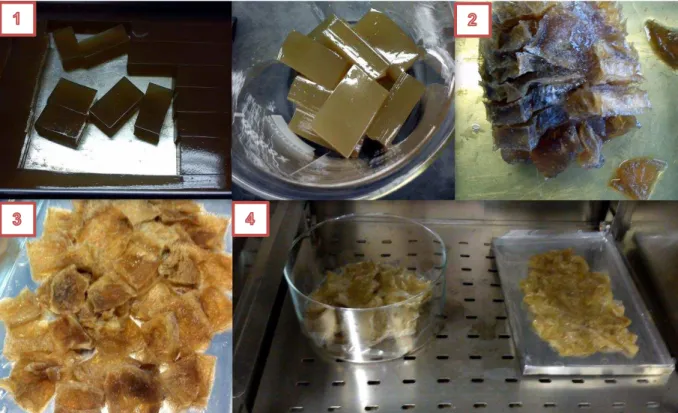 Figura 3-10 Imagens do ágar durante o processo de congelamento/descongelamento e secagem