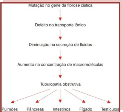 Figura 1.5 – Fisiopatologia da Fibrose Cística. Adaptado de 14. 