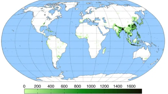 Figura 5 – Produção mundial de arroz.  