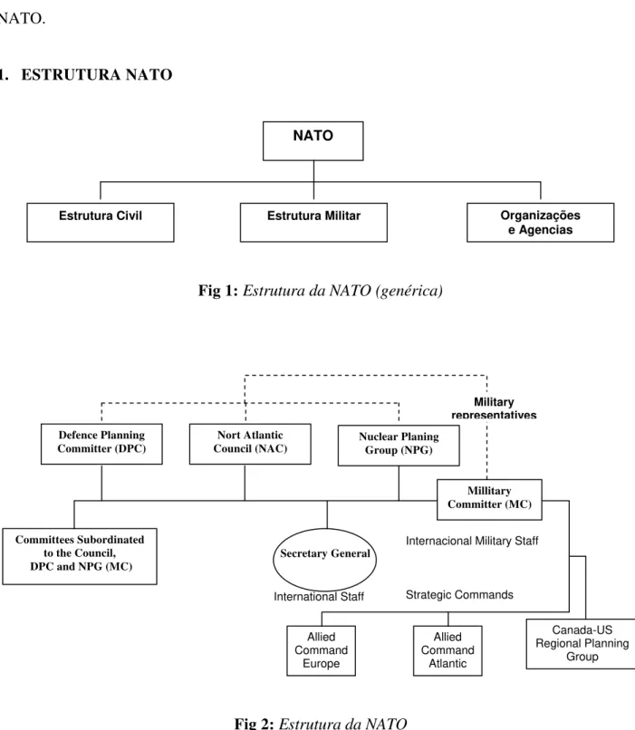 Fig 1: Estrutura da NATO (genérica) 