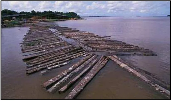 Figura n.º 13 - Transporte de madeira pelo rio  Fonte: http://www.naturezabrasileira.com.br, 2006 