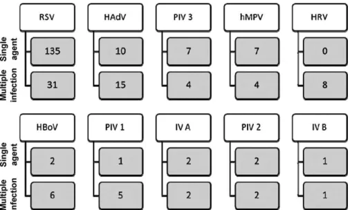 Fig. 1. Number of cases detected for each virus. These are the final values and include the sum of the IFA and the PCR