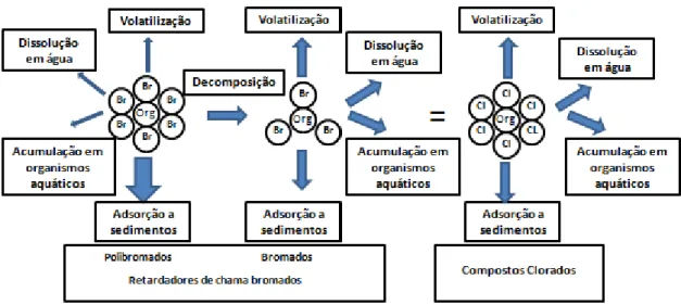 Figura 1.8 - Representação esquemática do comportamento ambiental dos BFR [5]  