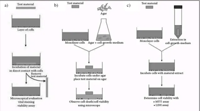 Figura  2.  Tipo  de  contacto  entre  as  células  e  o  material  a  ser  testado;  a)  contacto  direto;  b)  Contacto  indireto; c) Extrato do material (Knetsch, 2013)