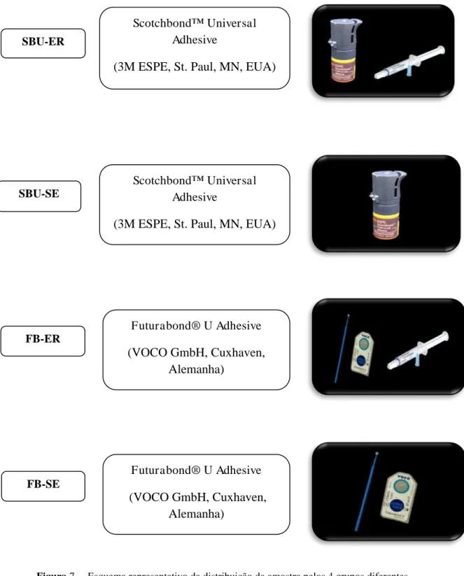 Figura 7   –  Esquema representativo da distribuição da amostra pelos 4 grupos diferentes