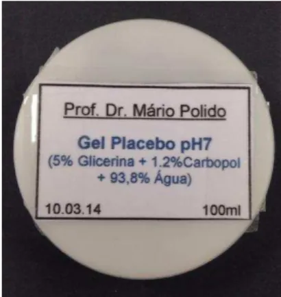 Fig. 2 – Gel placebo.