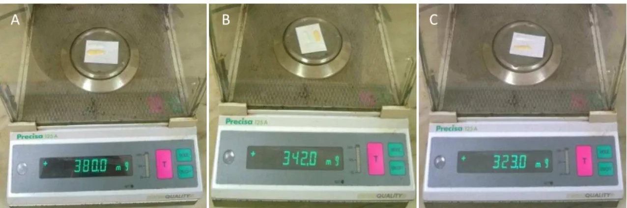 Figura 4. Pesagem dos cimentos a testar, consoante a adição de digluconato de clorhexidina: A) Grupo sem  adição de digluconato de clorhexidina B) Grupo antes da adição de  digluconato de clorhexidina a 2% C)  Grupo antes da adição de digluconato de clorhe