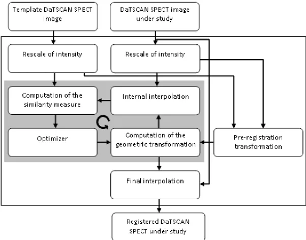 Figure 1: Diagram of the algorithm used to register the DaTSCAN SPECT images. 