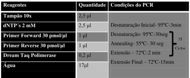 Tabela  3  Condições  do  “Colony  PCR”  para  amplificação  da  catanina,   nos  vetores  de  clonagem  pGEM-T-EASY e pIC 113 