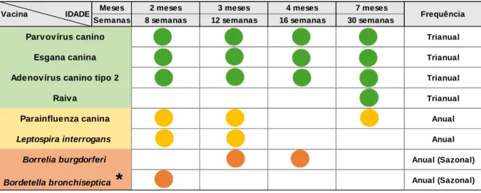 Tabela 4 - Exemplo de um calendário vacinal, para os cães residentes em Portugal, baseado nas  últimas recomendações da WSAVA