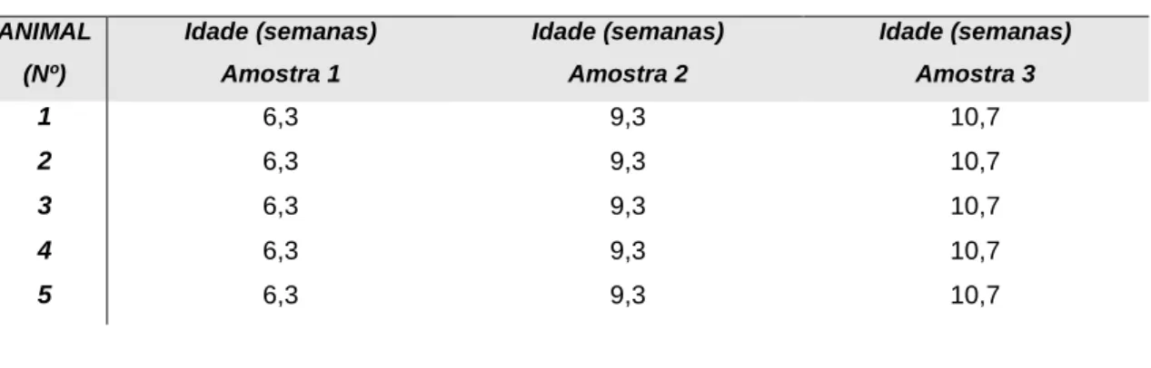 Tabela 6 - Idades dos animais do grupo A aquando da colheita das várias amostras. 