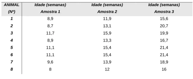 Tabela 7 - Idades dos animais do grupo B aquando da colheita das várias amostras. 