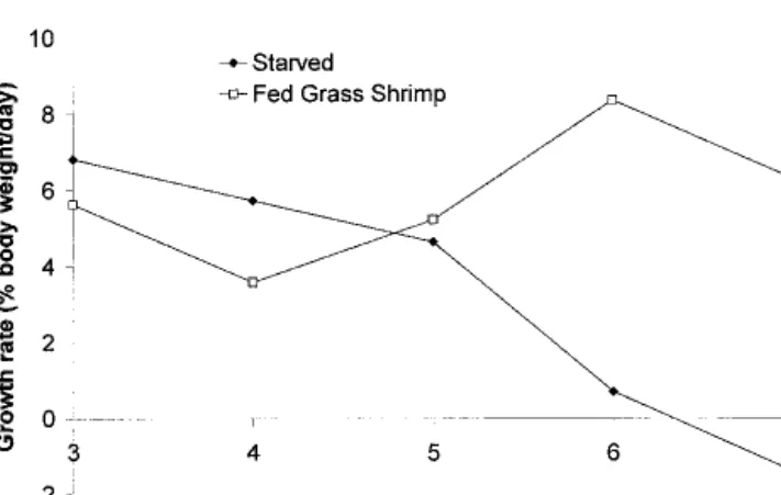 Figure 1. Growth rates of starved and fed hatchlings.