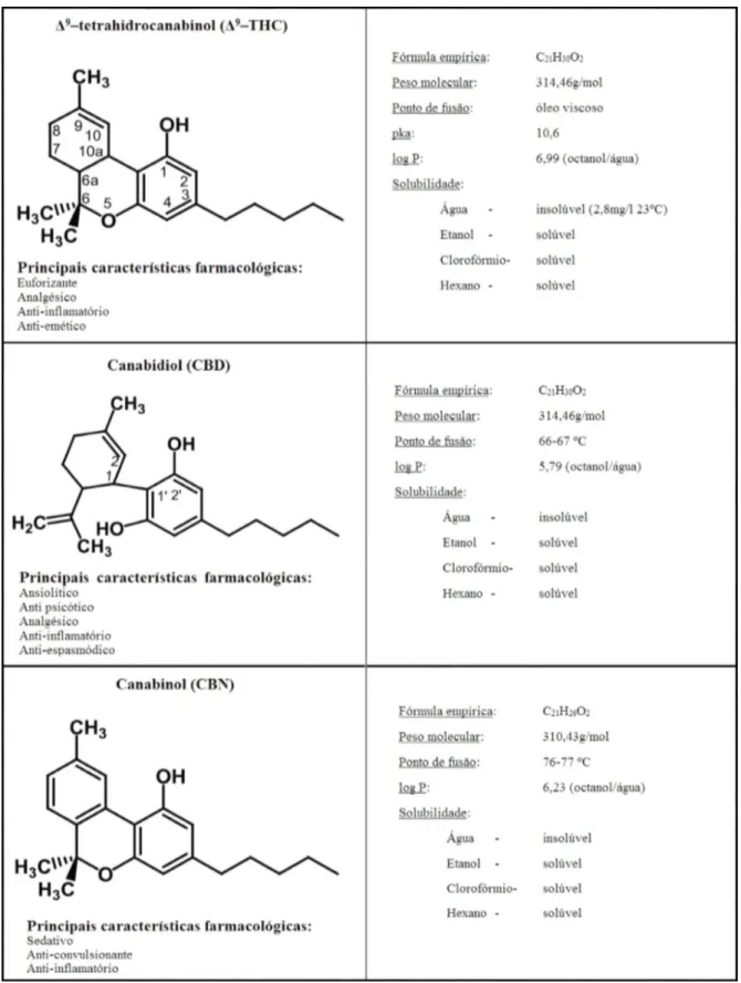 Figura 2. Resumo das características químicas e farmacológicas dos principais canabinódes encontrados  na marijuana (Adaptado de UNODC, 2009).