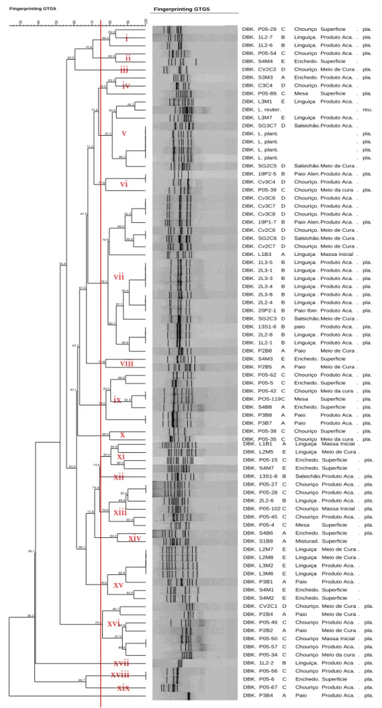 Figura  5  –  Dendrograma  da  análise  do  perfil  genético  das  estirpes  L.  plantarum  com  identificação de grupos apresentando uma semelhança superior a 75%