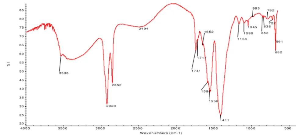 Fig. 62 - Espectro IV da primeira camada da amostra da túnica do Menino (30-12- (30-12-4) por FTIR-  S, composta por branco de chumbo e silicatos