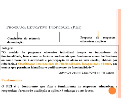 Figura 10. O Programa Educativo Individual - PEI 