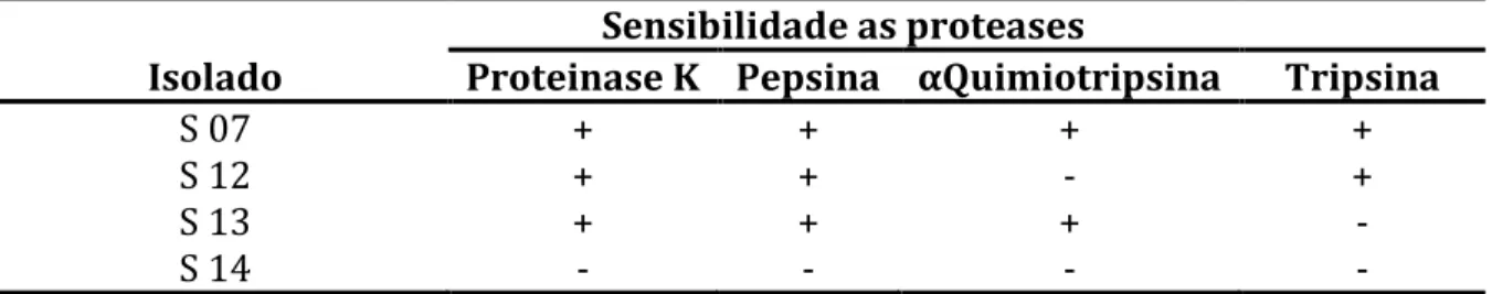 Tabela 5: Sensibilidade dos isolados de BAL (S 07, S 12, S 13, S 14) as proteases proteinase K,  pepsina, α–quimotripsina, tripsina