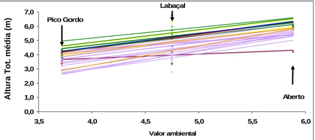 Figura  15:  Representação  gráfica  da  interacção  genótipo  x  ambiente  da  altura  ao  6º  ano  nas  proveniências presentes nos 3 ensaios