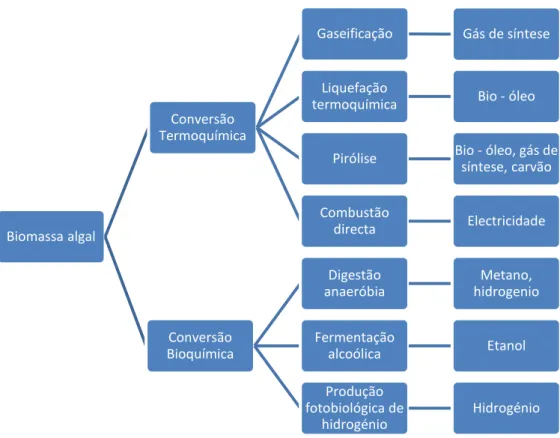 Figura 2 -  Tipos de conversão de biomassa algal e produto final 