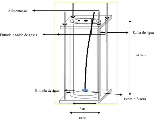 Figura 7  - Fotobiorreactor tubular em coluna de bolhas (Colaço, 2012) 