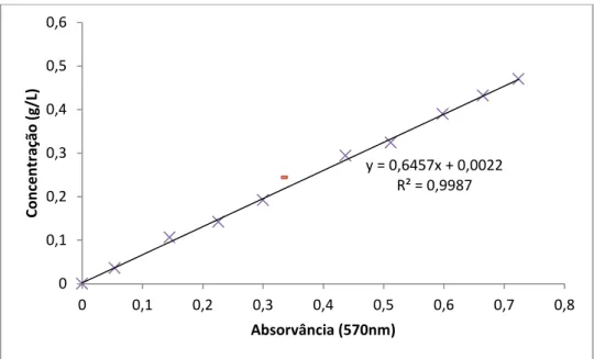 Gráfico 3 -  Recta de calibração para a Chlorella sp.. 
