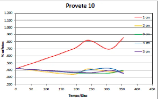 Gráfico 6 – Percentagem de sulfatos no betão por  camadas - provete 10. 