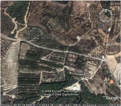 Fig. 2.4 – Fotografia aérea do local do ensaio na Quinta da Saramagueira. 